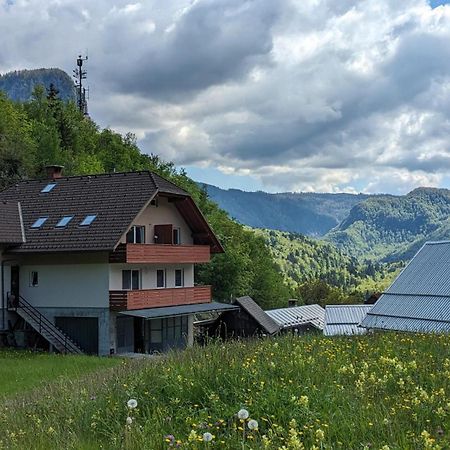 Apartments Dominika Bohinjska Bela Exteriér fotografie