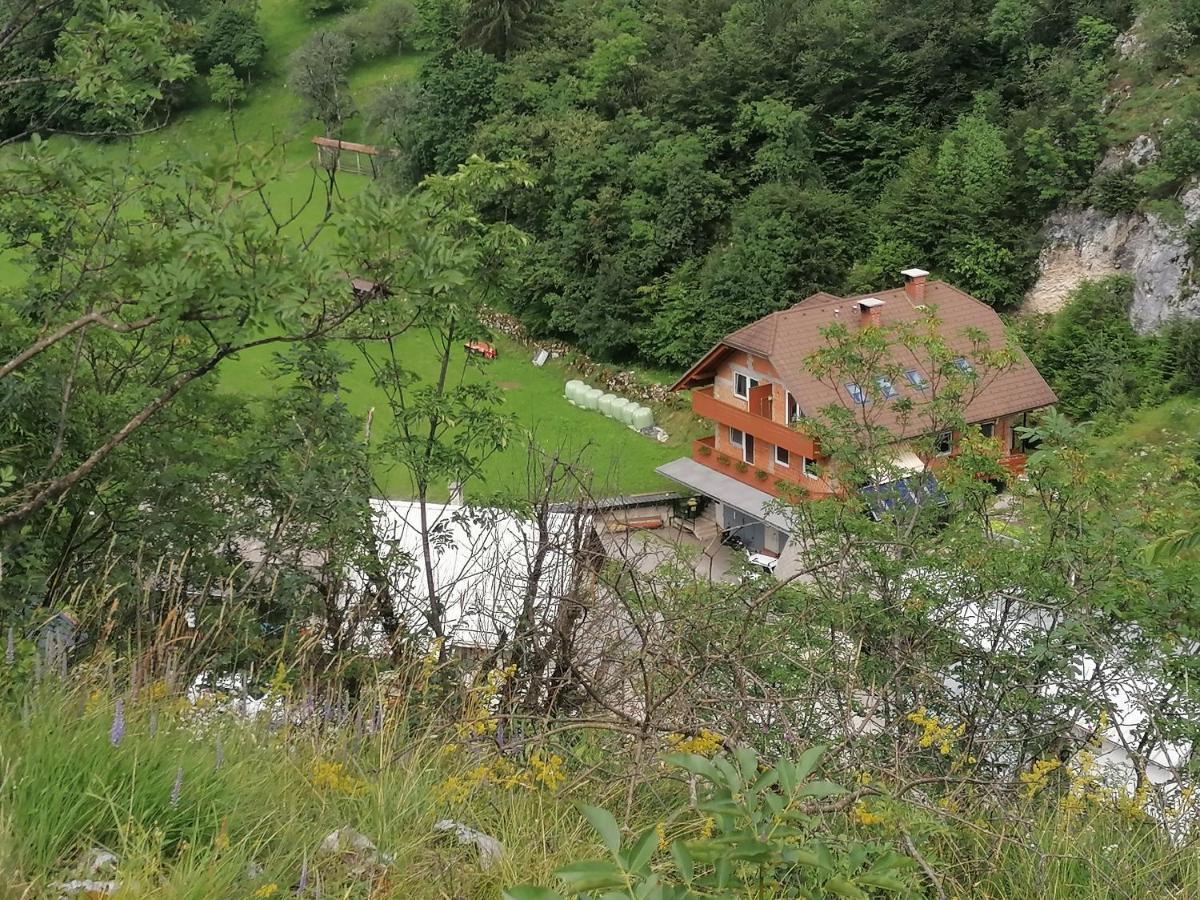 Apartments Dominika Bohinjska Bela Exteriér fotografie