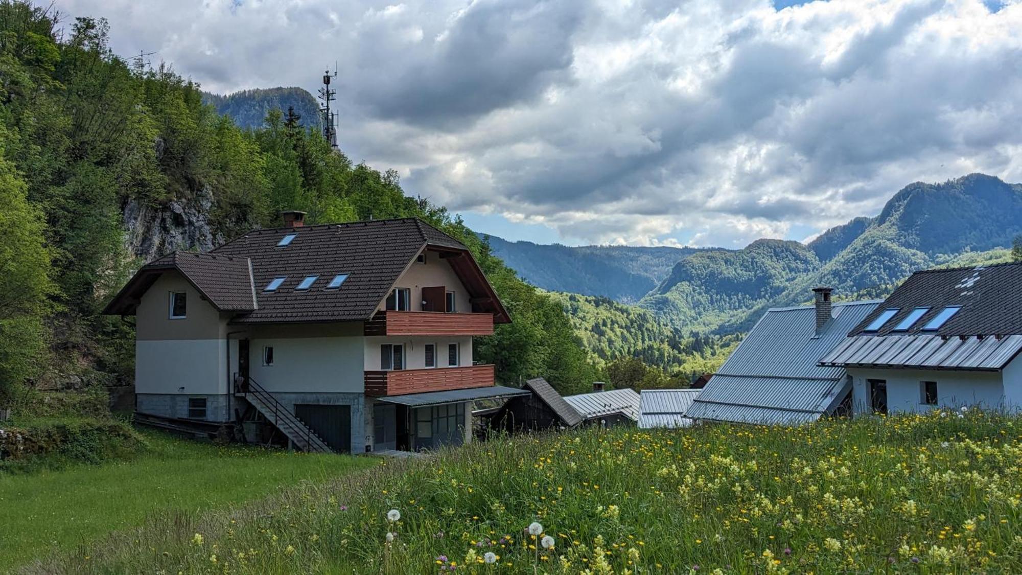 Apartments Dominika Bohinjska Bela Exteriér fotografie